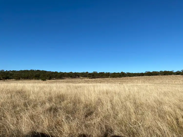 Third view of Homely rural property listing, Lot 270 Hill Rd, Alma SA 5401