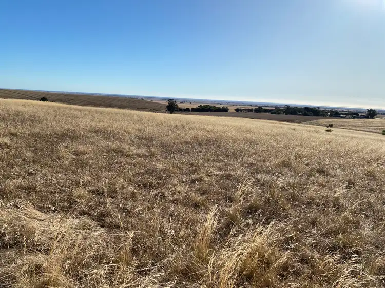 Fourth view of Homely rural property listing, Lot 270 Hill Rd, Alma SA 5401