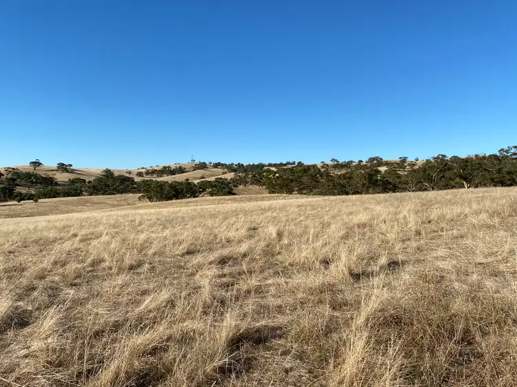 Seventh view of Homely rural property listing, Lot 270 Hill Rd, Alma SA 5401