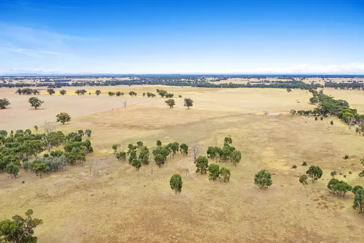 Second view of Homely rural property listing, 171 Dobie Road, Toolleen VIC 3551