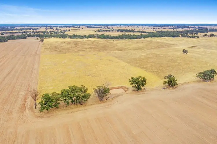 Fourth view of Homely rural property listing, 171 Dobie Road, Toolleen VIC 3551