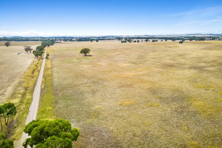 Fifth view of Homely rural property listing, 171 Dobie Road, Toolleen VIC 3551
