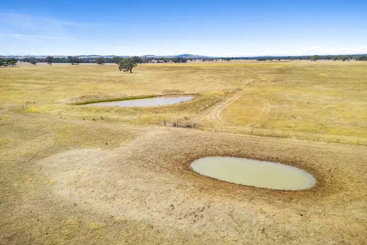 Seventh view of Homely rural property listing, 171 Dobie Road, Toolleen VIC 3551