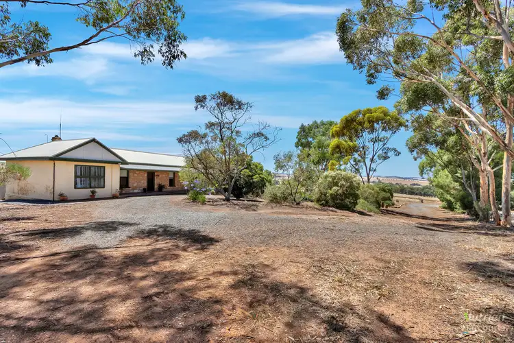 Main view of Homely rural property listing, 86 Lookout Road, Riverton SA 5412