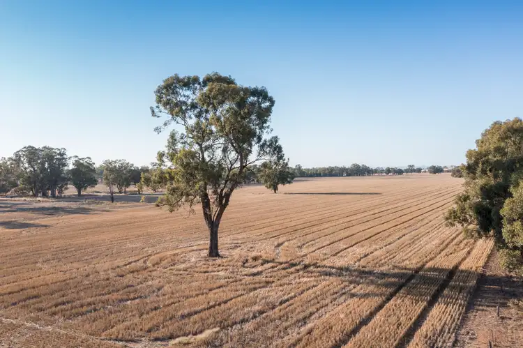 Main view of Homely rural property listing, 106A Benalla-Boundary Road, Major Plains VIC 3725