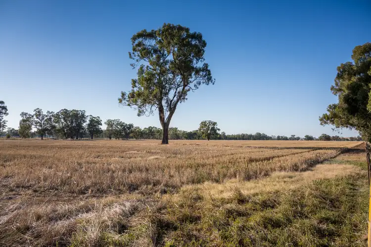 Fourth view of Homely rural property listing, 106A Benalla-Boundary Road, Major Plains VIC 3725