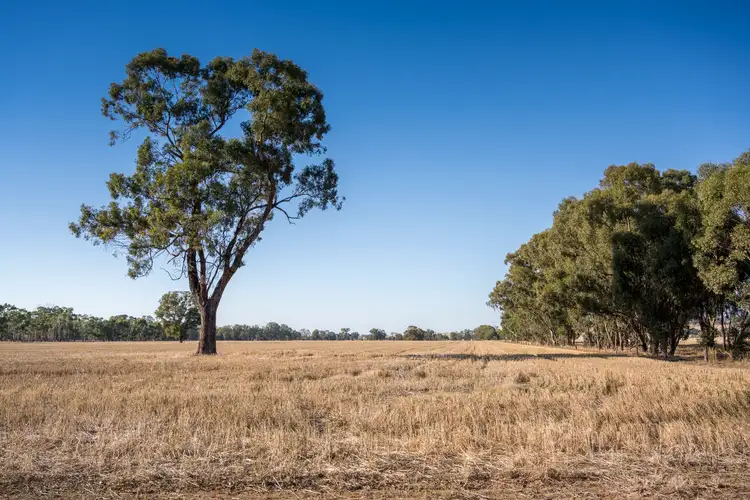 Fifth view of Homely rural property listing, 106A Benalla-Boundary Road, Major Plains VIC 3725