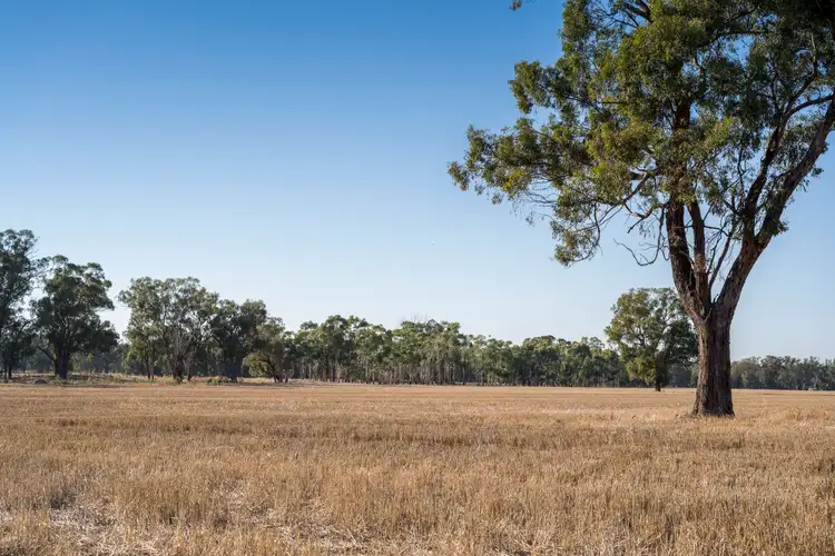 Sixth view of Homely rural property listing, 106A Benalla-Boundary Road, Major Plains VIC 3725