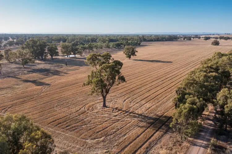 Seventh view of Homely rural property listing, 106A Benalla-Boundary Road, Major Plains VIC 3725