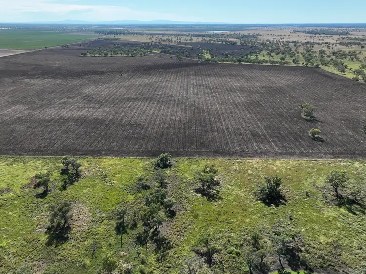 Main view of Homely rural property listing, 356 Pilliga Road, Wee Waa NSW 2388