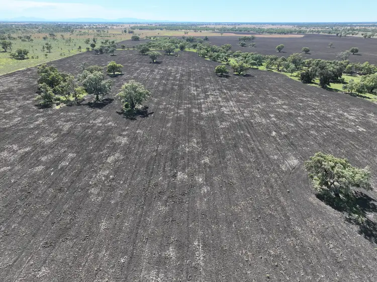 Third view of Homely rural property listing, 356 Pilliga Road, Wee Waa NSW 2388