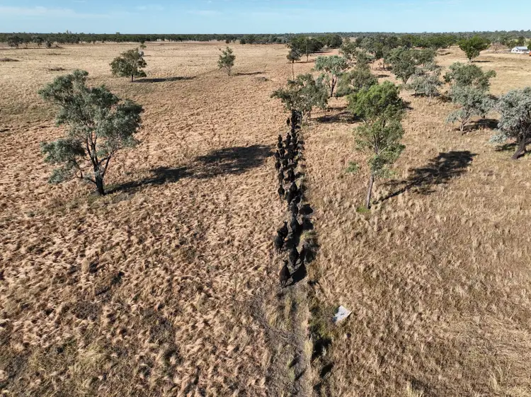 Sixth view of Homely rural property listing, 356 Pilliga Road, Wee Waa NSW 2388