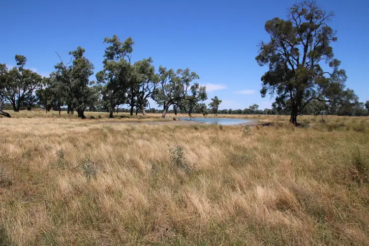 Seventh view of Homely rural property listing, 356 Pilliga Road, Wee Waa NSW 2388
