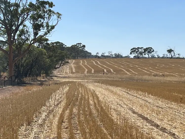 Third view of Homely rural property listing, . 'Palmerston South', South Tammin WA 6409