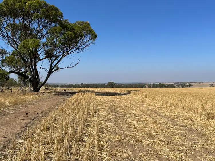 Fourth view of Homely rural property listing, . 'Palmerston South', South Tammin WA 6409