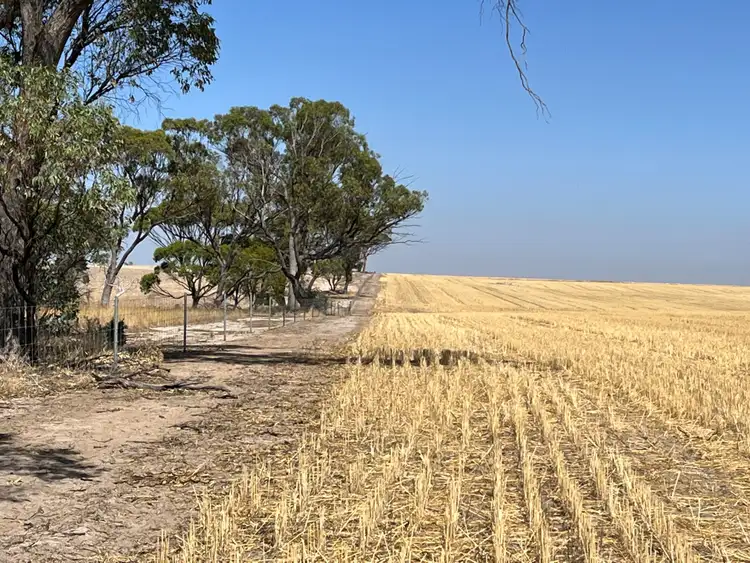 Fifth view of Homely rural property listing, . 'Palmerston South', South Tammin WA 6409