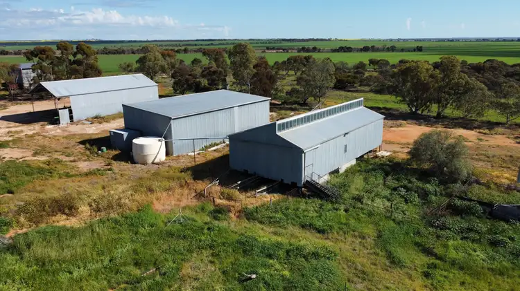Fourth view of Homely rural property listing, . "Munty West", Muntadgin WA 6420