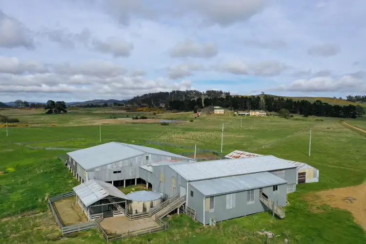 Fourth view of Homely rural property listing, 1114 Stonehenge Road, Stonehenge TAS 7120