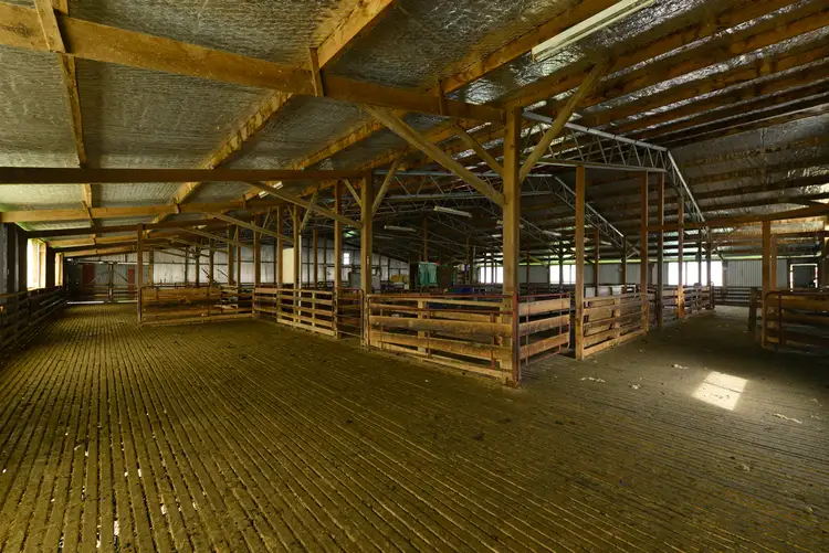 Sixth view of Homely rural property listing, 1114 Stonehenge Road, Stonehenge TAS 7120