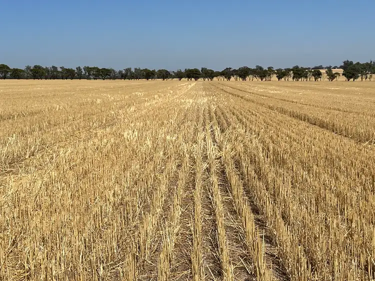 . 'Palmerston' Lease, South Tammin WA 6409