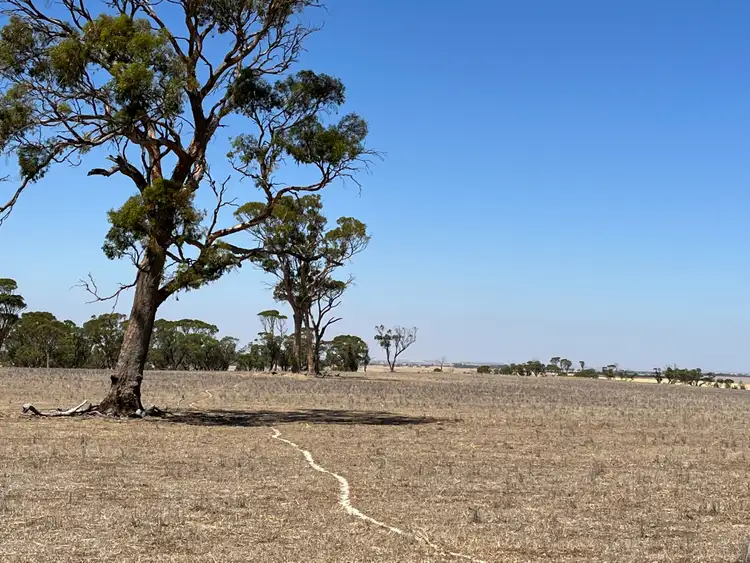 Third view of Homely rural property listing, . 'Palmerston' Lease, South Tammin WA 6409