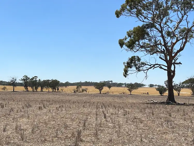 Fourth view of Homely rural property listing, . 'Palmerston' Lease, South Tammin WA 6409