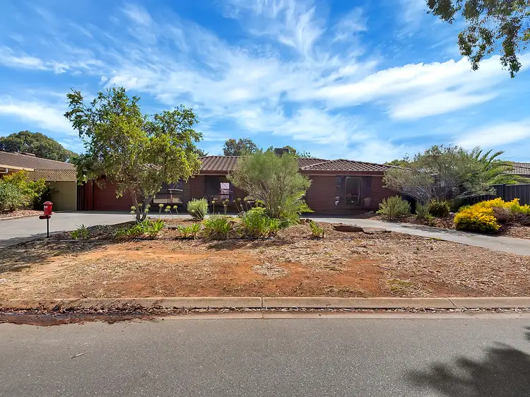Second view of Homely house listing, 11 Grevillia Drive, Parafield Gardens SA 5107