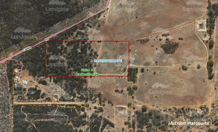 Main view of Homely rural property listing, 90 Cattlin Road, Ravensthorpe WA 6346