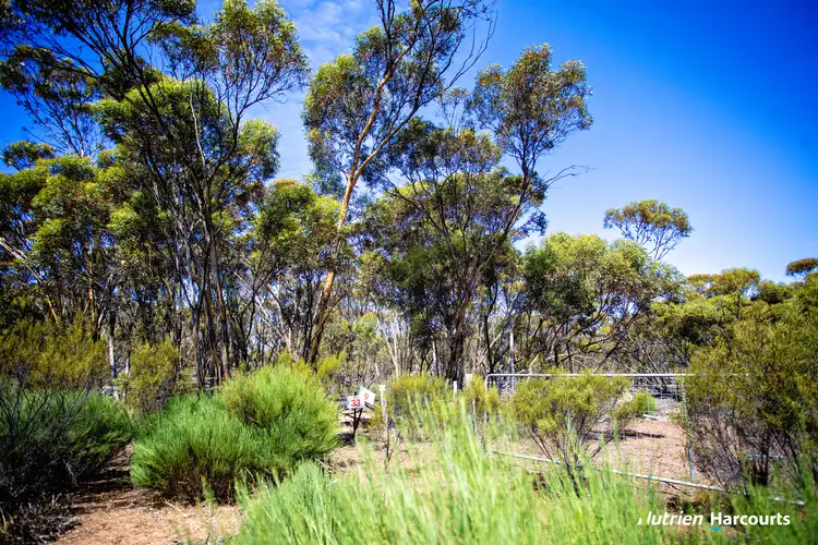 Fourth view of Homely rural property listing, 90 Cattlin Road, Ravensthorpe WA 6346