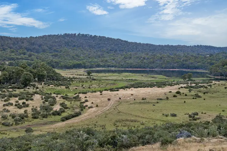 Fourth view of Homely rural property listing, "Pine Tier" Gowan Brae Road, Bronte Park TAS 7140