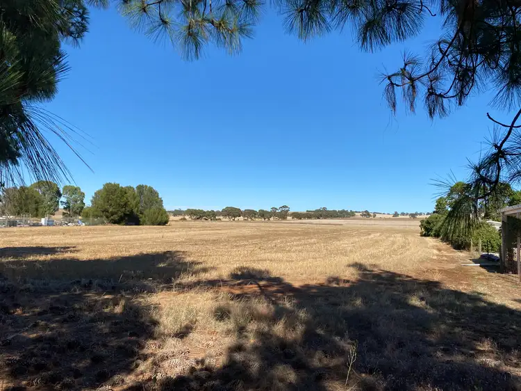 Seventh view of Homely rural property listing, Lot 202 Torrens Rd, Riverton SA 5412