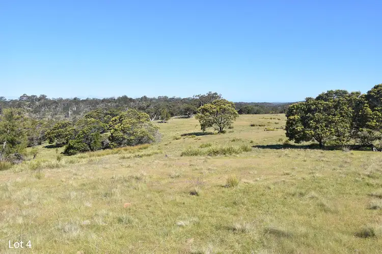 Main view of Homely land listing, Lot 4 Crossins Road, Swansea TAS 7190