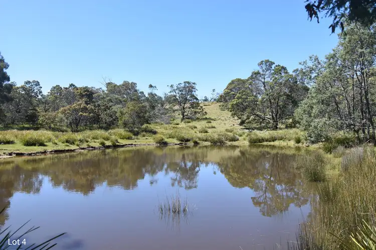 Sixth view of Homely land listing, Lot 4 Crossins Road, Swansea TAS 7190