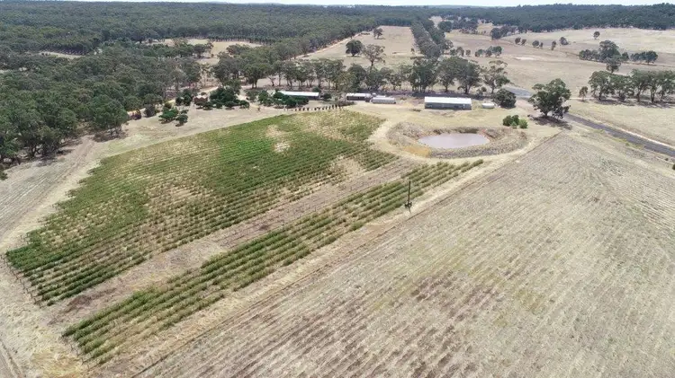 Third view of Homely rural property listing, 633 Carapooee Road, Carapooee VIC 3477