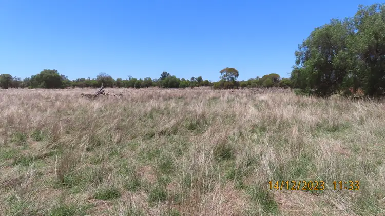 Fourth view of Homely rural property listing, ENMORE 2151 Lerida Road, Cobar NSW 2835