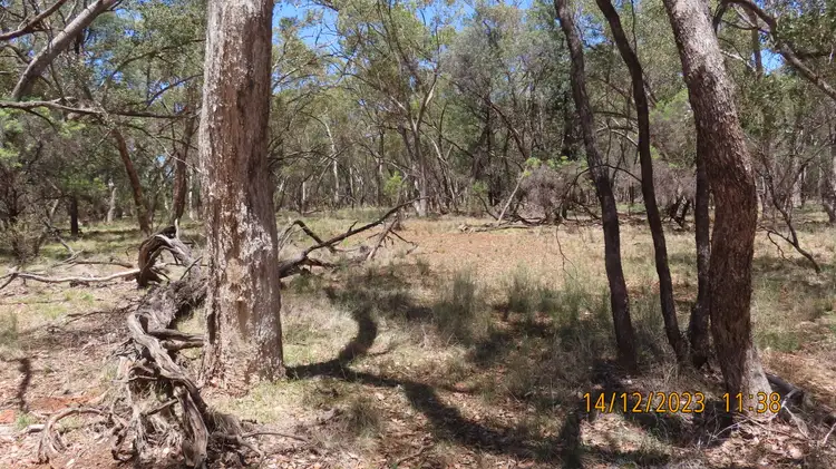 Fifth view of Homely rural property listing, ENMORE 2151 Lerida Road, Cobar NSW 2835