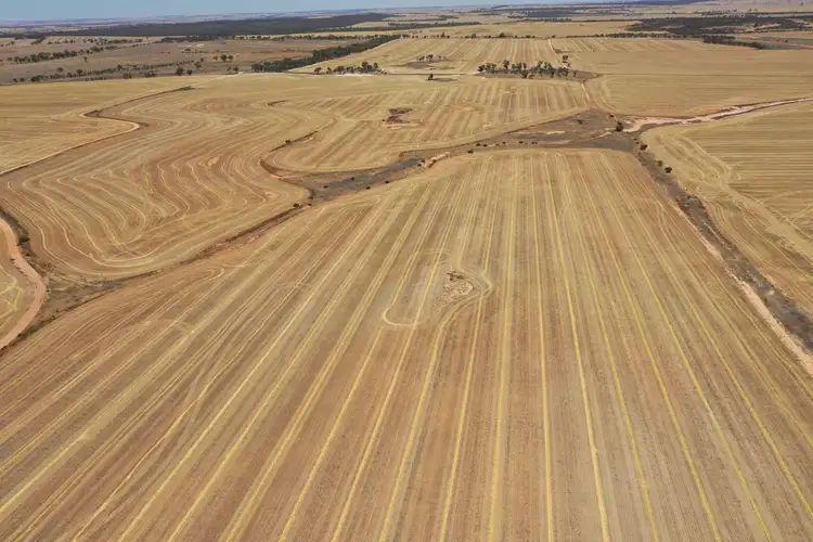 Main view of Homely rural property listing, . Le Vaux's, Nungarin WA 6490