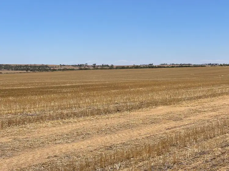 Second view of Homely rural property listing, . Le Vaux's, Nungarin WA 6490