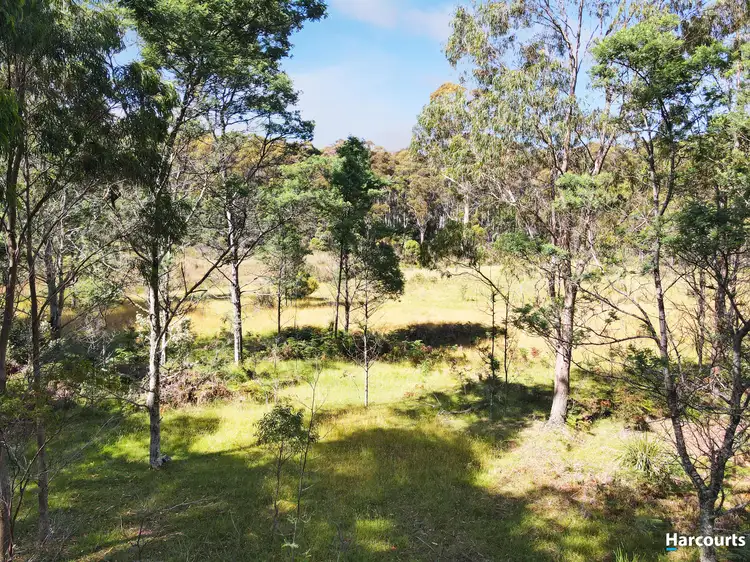 Main view of Homely land listing, 100 Curtis Road, St Marys TAS 7215