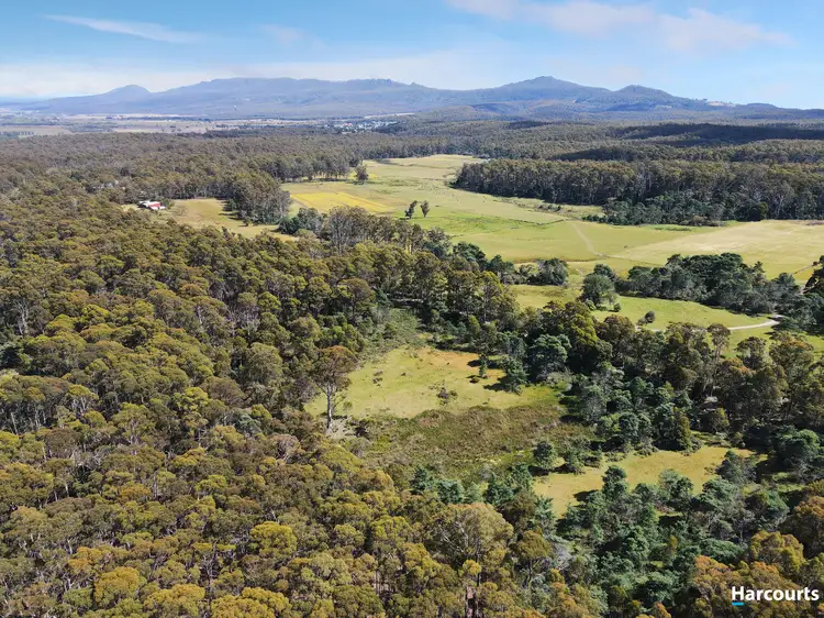 Second view of Homely land listing, 100 Curtis Road, St Marys TAS 7215