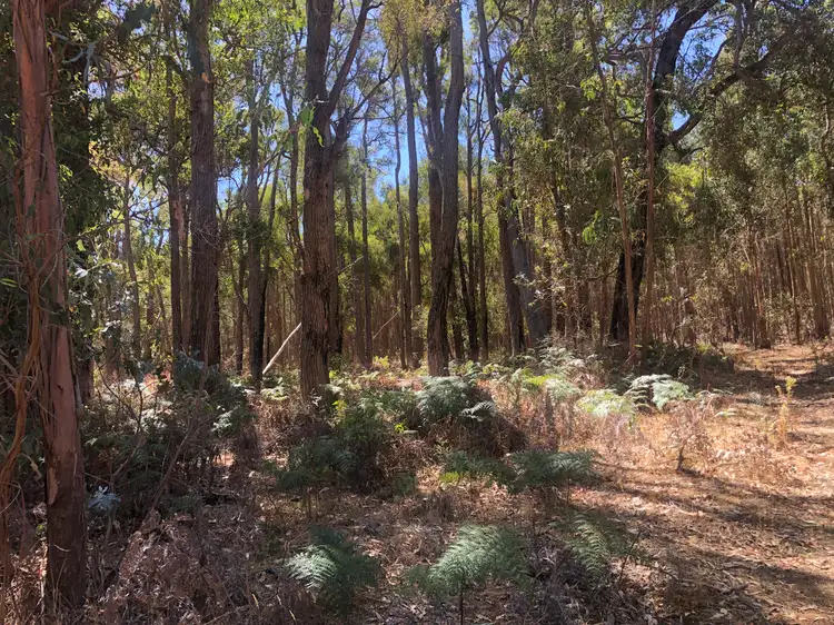 Main view of Homely rural property listing, . Pozzi Road, Dingup WA 6258