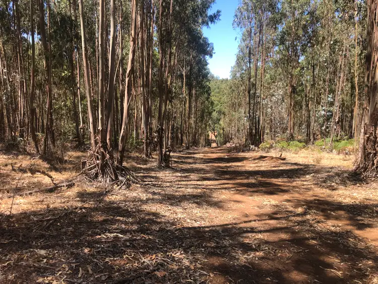 Fourth view of Homely rural property listing, . Pozzi Road, Dingup WA 6258