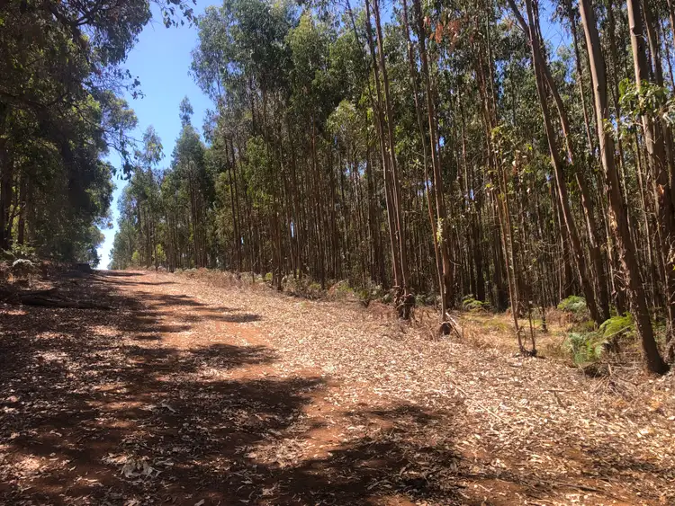 Fifth view of Homely rural property listing, . Pozzi Road, Dingup WA 6258