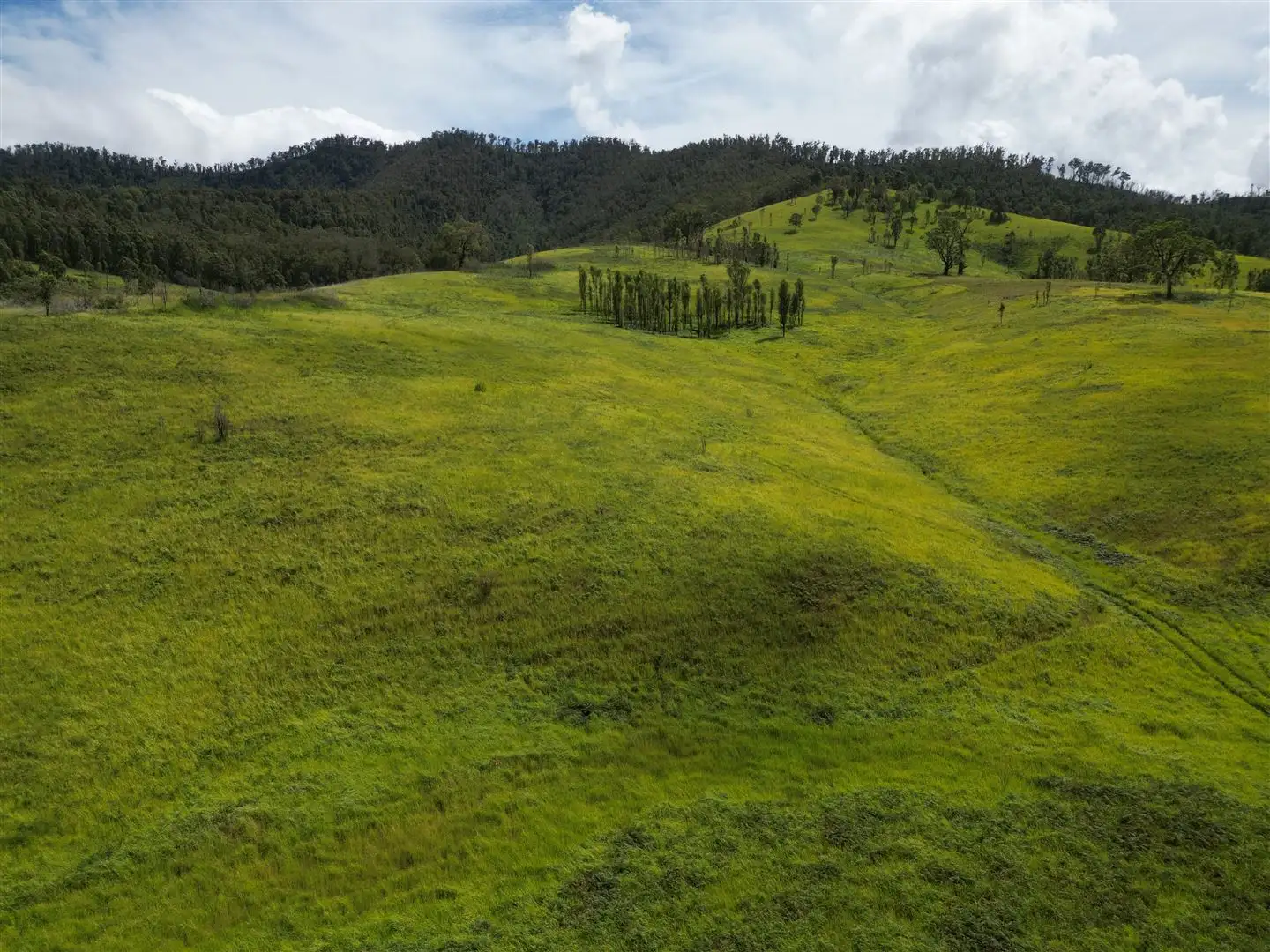 Main view of Homely rural property listing, Lot 54 Mackenzies Creek Road, Bellbrook NSW 2440
