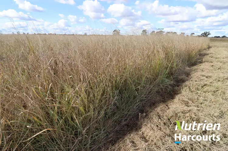 Sixth view of Homely rural property listing, 438 Hoadleys Road, Hannaford QLD 4406