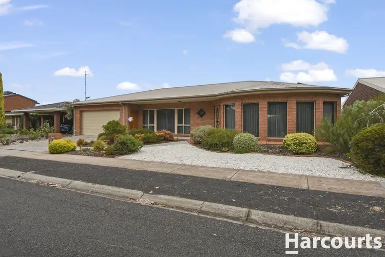 Main view of Homely house listing, 19 Wotonga Drive, Horsham VIC 3400