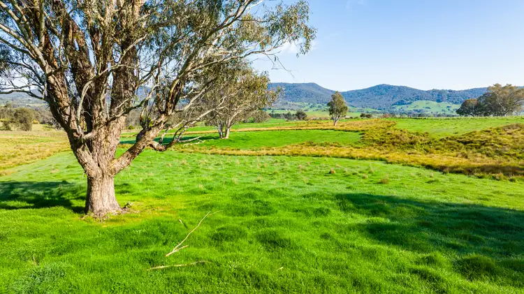 Seventh view of Homely rural property listing, 'The Point' Craven Road, Allans Flat VIC 3691