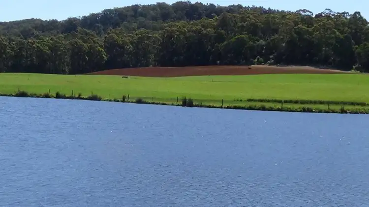 Sixth view of Homely rural property listing, 1370 Myalla Road, Milabena TAS 7325