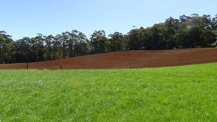 Seventh view of Homely rural property listing, 1370 Myalla Road, Milabena TAS 7325