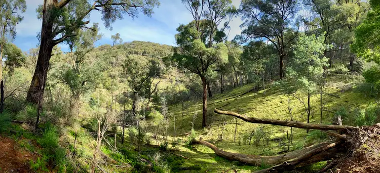Main view of Homely rural property listing, 1/1497 Yarck Road, Gobur VIC 3719